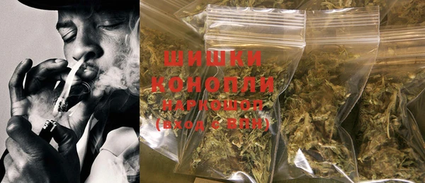 ПСИЛОЦИБИНОВЫЕ ГРИБЫ Белокуриха