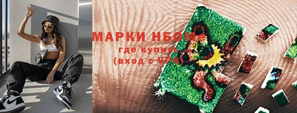 ПСИЛОЦИБИНОВЫЕ ГРИБЫ Белокуриха